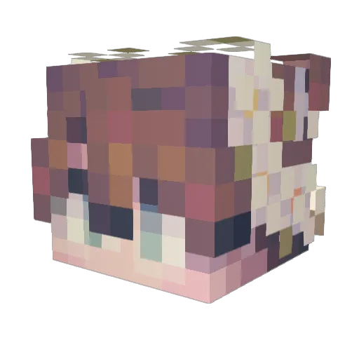 Patriciodelnorte Minecraft avatar head, 3D render