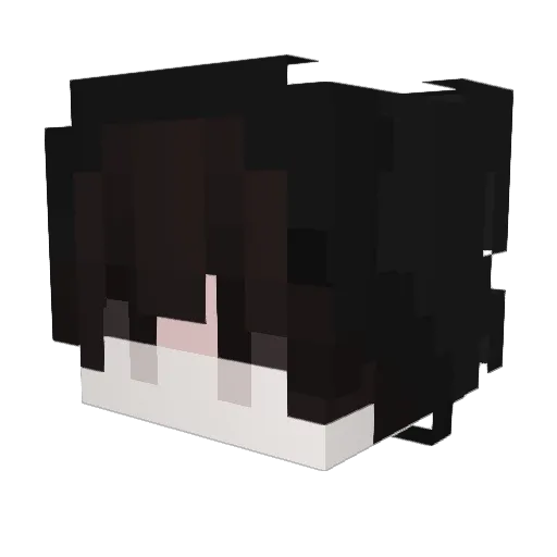 Patrick1026 Minecraft avatar head, 3D render