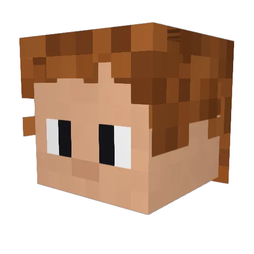 Patrick280212 Minecraft avatar head, 3D render