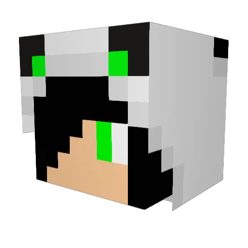 Patrick4427 Minecraft avatar head, 3D render