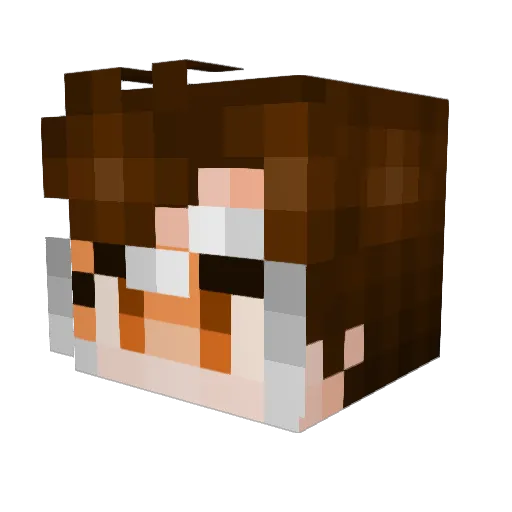 PatrickBlueBird Minecraft avatar head, 3D render