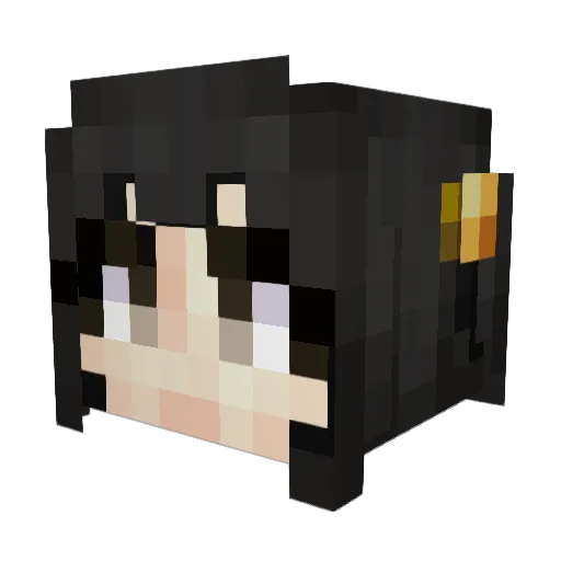 PatrickL546 Minecraft avatar head, 3D render