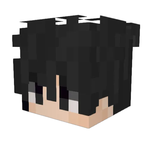 PatrickMatrick Minecraft avatar head, 3D render