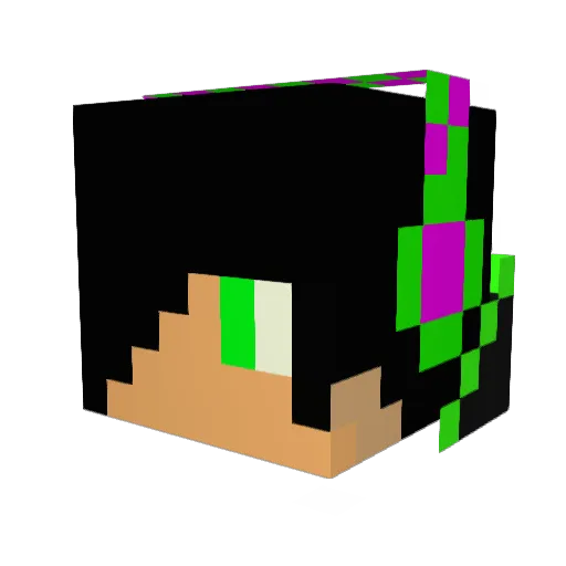 Patrick__5 Minecraft avatar head, 3D render