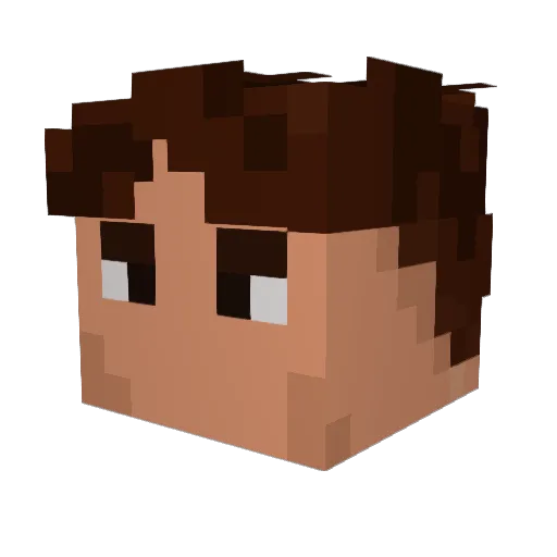 Patrickaum_ Minecraft avatar head, 3D render