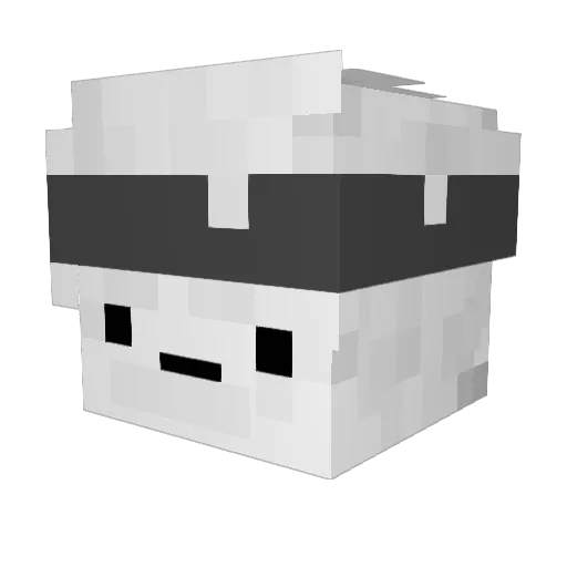 Patrickda191 Minecraft avatar head, 3D render