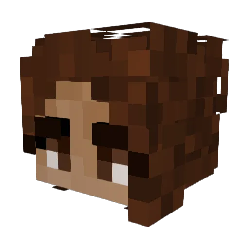 Patricutttu256 Minecraft avatar head, 3D render