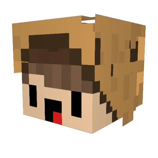 Patrik0600 Minecraft avatar head, 3D render