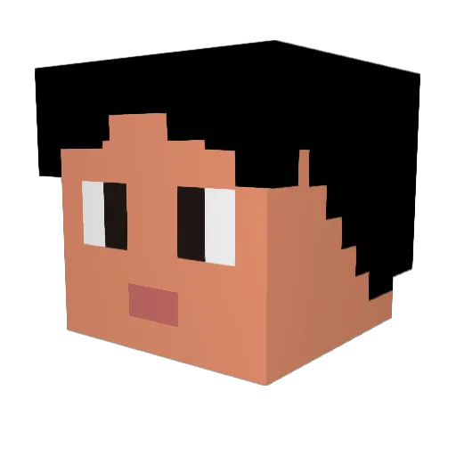 Patrikus14 Minecraft avatar head, 3D render