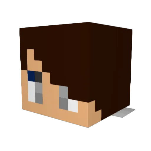 Patriot021 Minecraft avatar head, 3D render