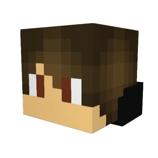 Patriot4293 Minecraft avatar head, 3D render