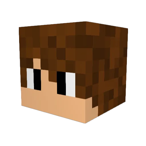 PatriotElite23 Minecraft avatar head, 3D render
