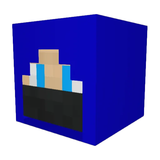 PatriotGaming Minecraft avatar head, 3D render