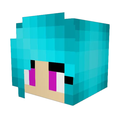PatriotsLOVER60 Minecraft avatar head, 3D render