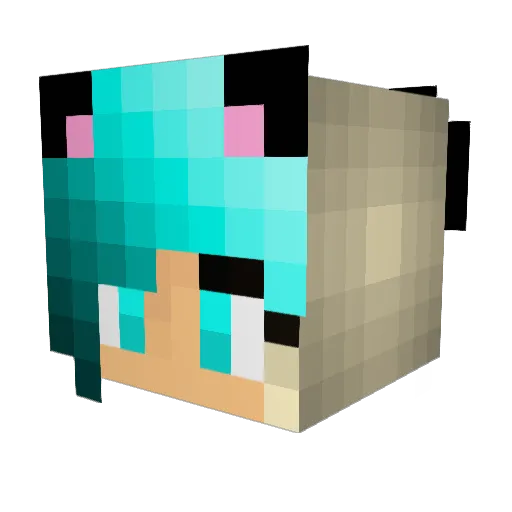 Patronus10 Minecraft avatar head, 3D render