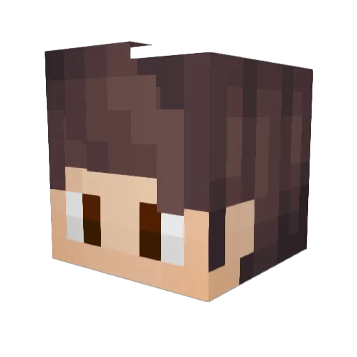 PatroxWarez Minecraft avatar head, 3D render