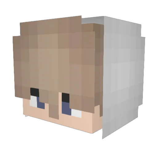PatryKmf Minecraft avatar head, 3D render