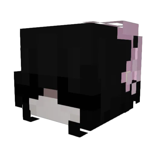 Patrycha6886 Minecraft avatar head, 3D render