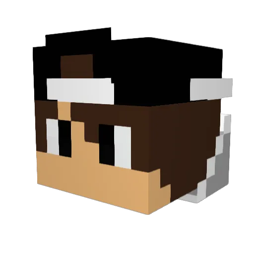 Patryck837 Minecraft avatar head, 3D render