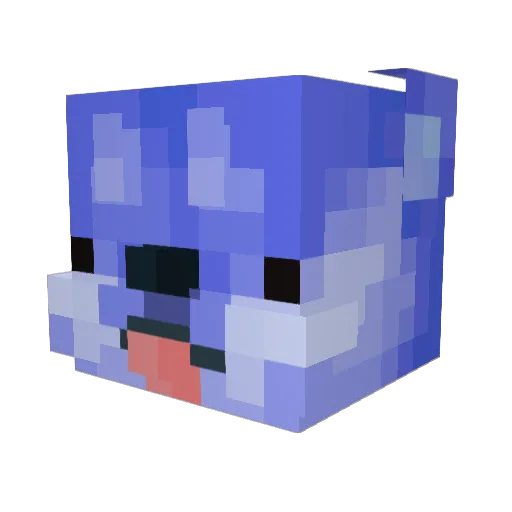 Patryczek216 Minecraft avatar head, 3D render