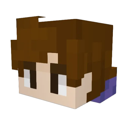 Patryk12222 Minecraft avatar head, 3D render