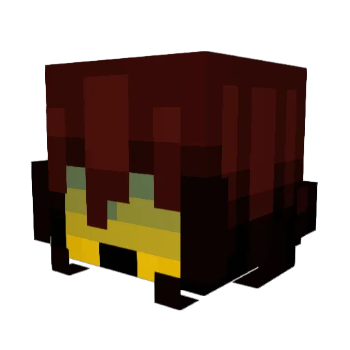 PatrykTheCat Minecraft avatar head, 3D render