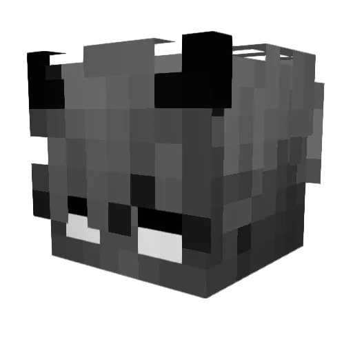 Patryk_Kokos Minecraft avatar head, 3D render