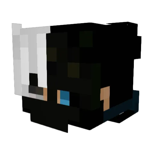 PatrykosKoks Minecraft avatar head, 3D render
