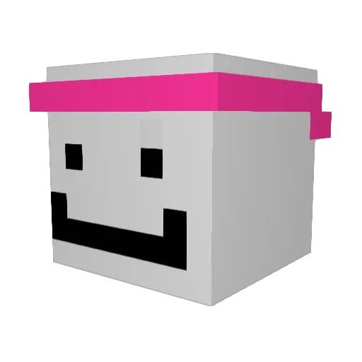 PatrysJomnlk Minecraft avatar head, 3D render