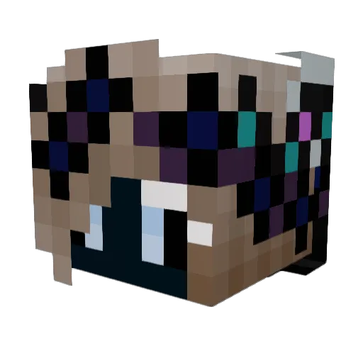 Pattatiyo Minecraft avatar head, 3D render