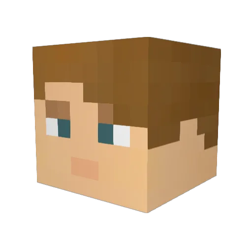 Patte1996 Minecraft avatar head, 3D render