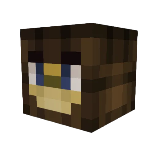 Pattern8021 Minecraft avatar head, 3D render