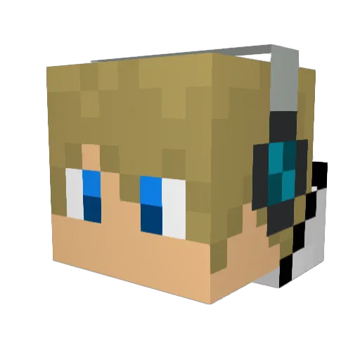 PattinhoPlays Minecraft avatar head, 3D render