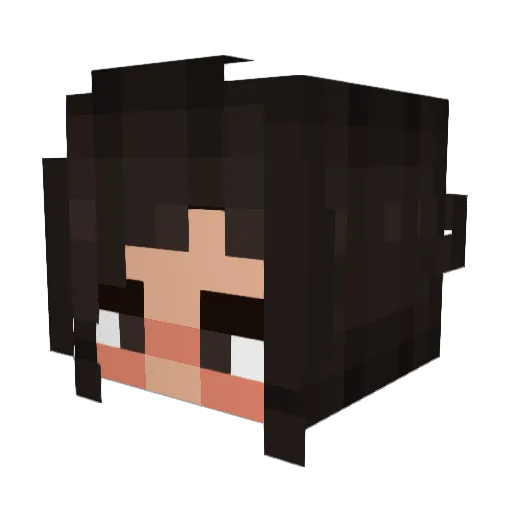 Patty1526 Minecraft avatar head, 3D render