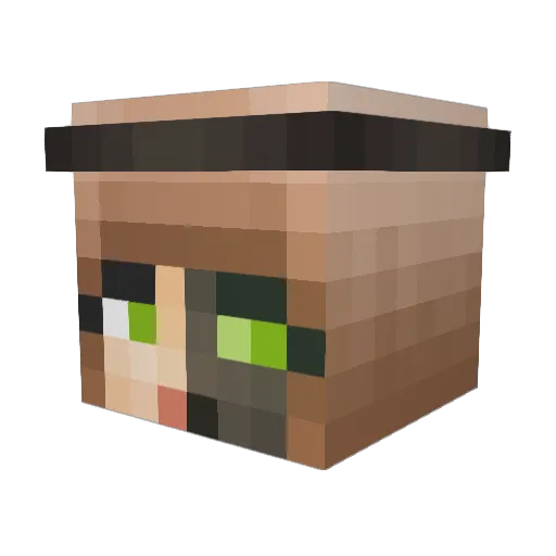 Patty9811 Minecraft avatar head, 3D render