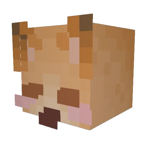 PattyTheCatty Minecraft avatar head, 3D render