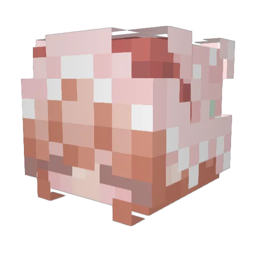 PattyThePig Minecraft avatar head, 3D render
