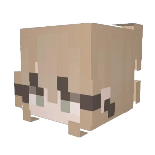 Patu_0 Minecraft avatar head, 3D render