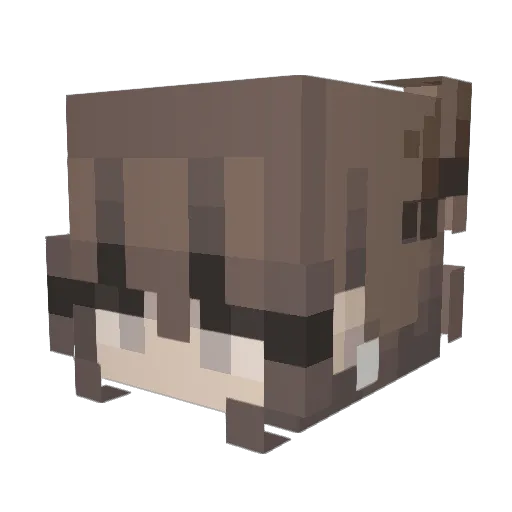 Patvolt Minecraft avatar head, 3D render
