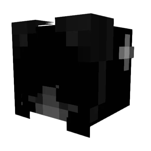 Patxd Minecraft avatar head, 3D render