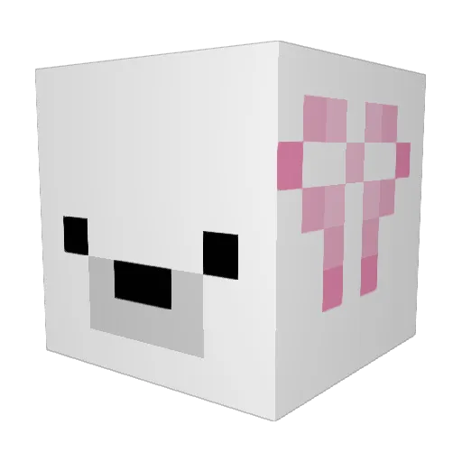Paty524 Minecraft avatar head, 3D render