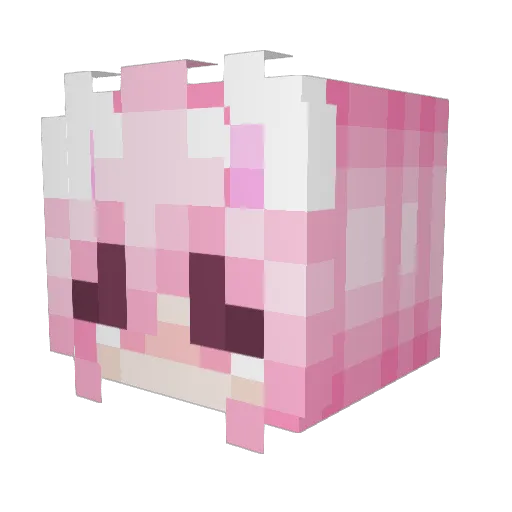 PatyCup Minecraft avatar head, 3D render