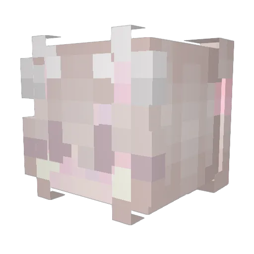 Pau0356 Minecraft avatar head, 3D render