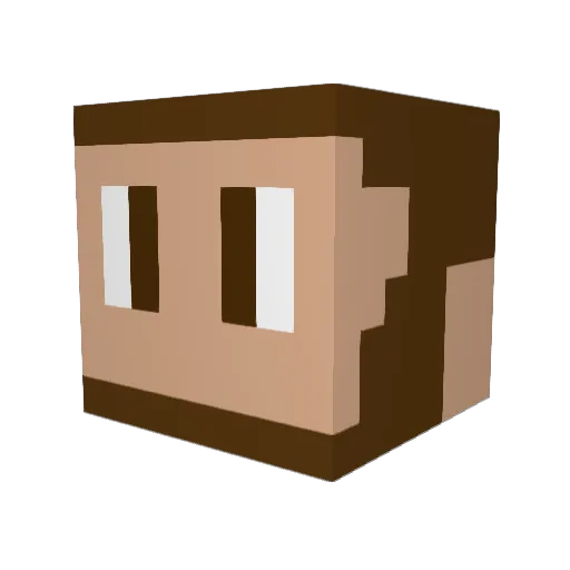 Pau063 Minecraft avatar head, 3D render
