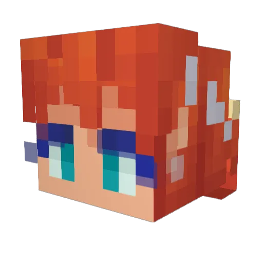 Pau1353 Minecraft avatar head, 3D render