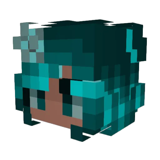 PauNC Minecraft avatar head, 3D render