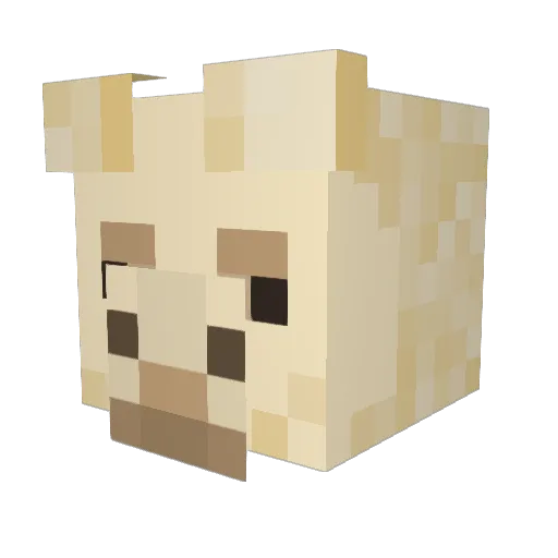 PauPau22 Minecraft avatar head, 3D render