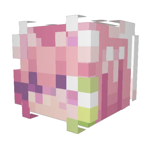 Pau_lyne_ Minecraft avatar head, 3D render