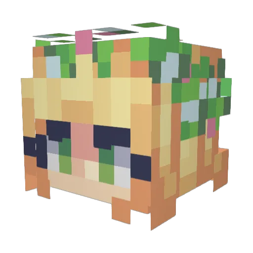 Paueruina Minecraft avatar head, 3D render