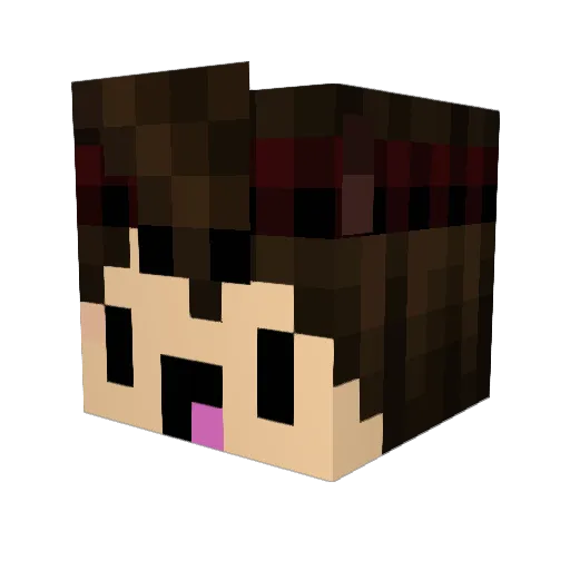 Paugna Minecraft avatar head, 3D render
